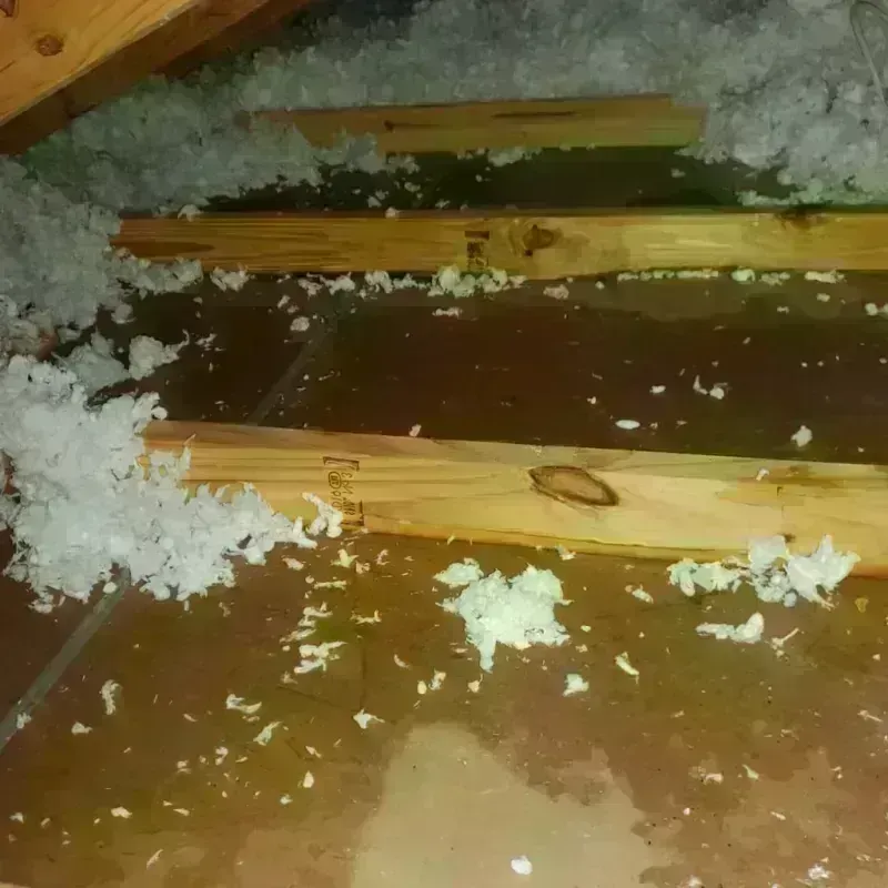 Attic Water Damage in Mowbray Mountain, TN