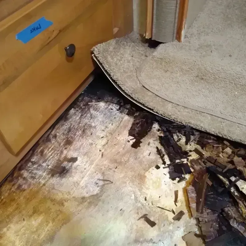 Best Wood Floor Water Damage Service in Mowbray Mountain, TN